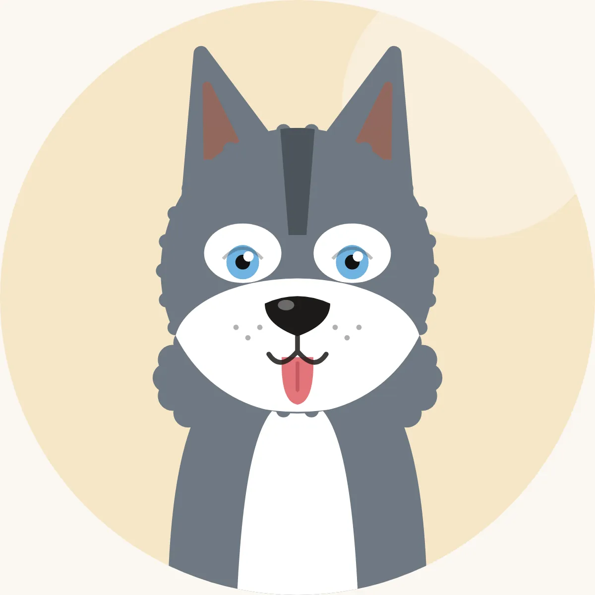 Siperianhusky – piirroskuva rodun tyypillisestä ulkonäöstä (kaikki värit mustasta valkoiseen)