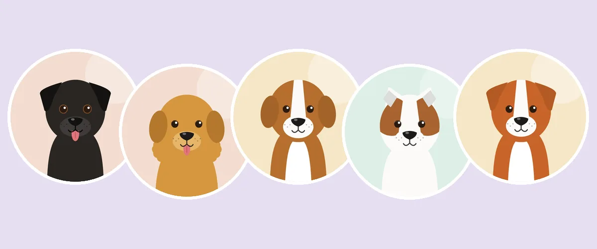 Metsästyskoirarodut: labradorinnoutaja, kultainen noutaja, suomen ajokoira, jackrussellinterrieri ja novascotiannoutaja (piirroskuva)
