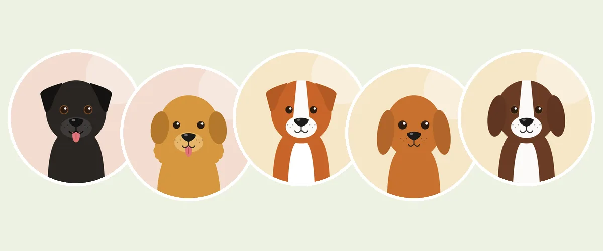 Noutajat, ylösajavat koirat ja vesikoirat: labradorinnoutaja, kultainen noutaja, novascotiannoutaja, englanninkokkerispanieli ja englanninspringerspanieli (piirroskuva)