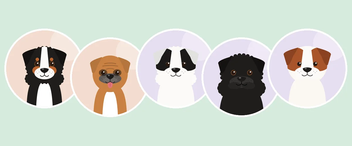 Pinserit, snautserit, molossityyppiset ja sveitsinpaimenkoirat: berninpaimenkoira, bokseri, landseer, newfoundlandinkoira ja bernhardinkoira (piirroskuva)