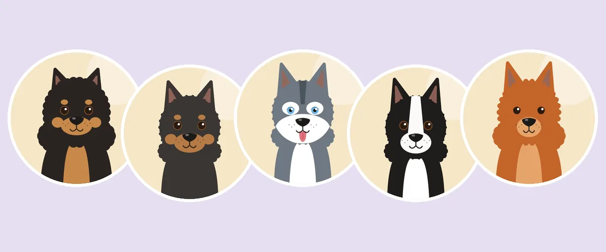Pystykorvat ja alkukantaiset koirat: suomenlapinkoira, lapinporokoira, siperianhusky, karjalankarhukoira ja suomenpystykorva (piirroskuva)