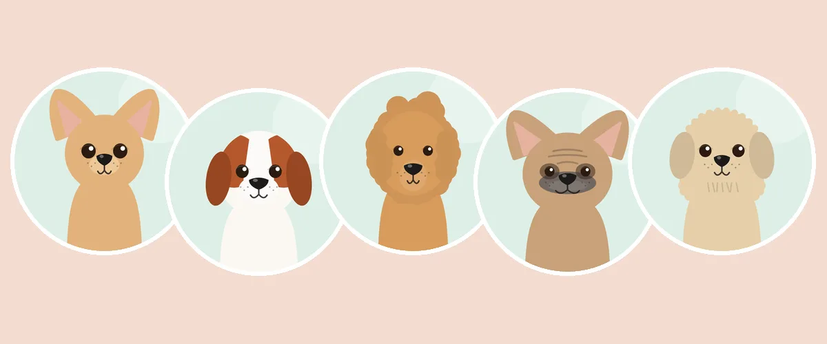 Seurakoirat ja kääpiökoirat: chihuahua, cavalier, kääpiövillakoira, ranskanbulldoggi ja havannankoira (piirroskuva)