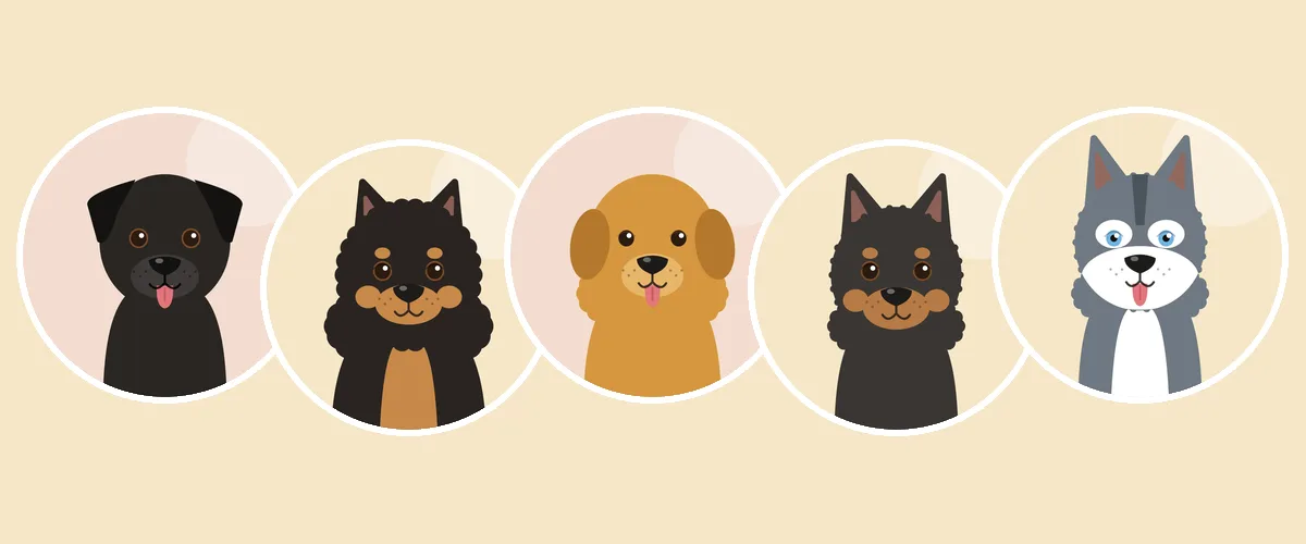 Vertaa koirarotuja: labradorinnoutaja, suomenlapinkoira, kultainen noutaja, lapinporokoira ja siperianhusky (piirroskuva)