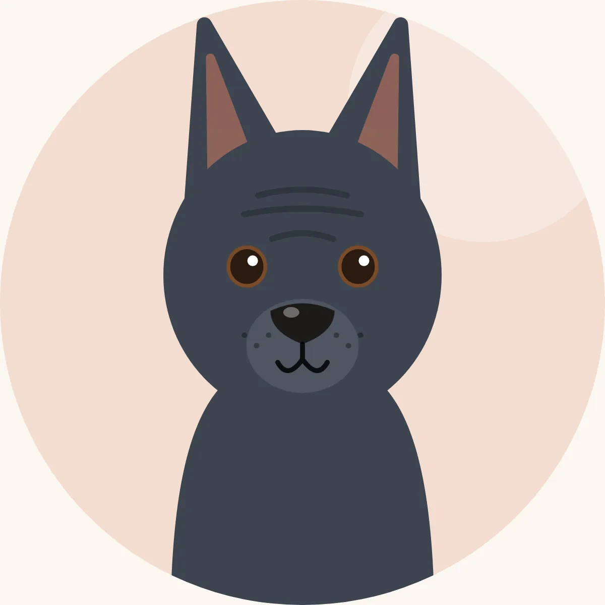 Thai ridgeback – piirroskuva rodun tyypillisestä ulkonäöstä (punainen, musta, sininen tai vaalea)