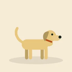 Esimerkkikennelin Kide, Labradorinnoutaja