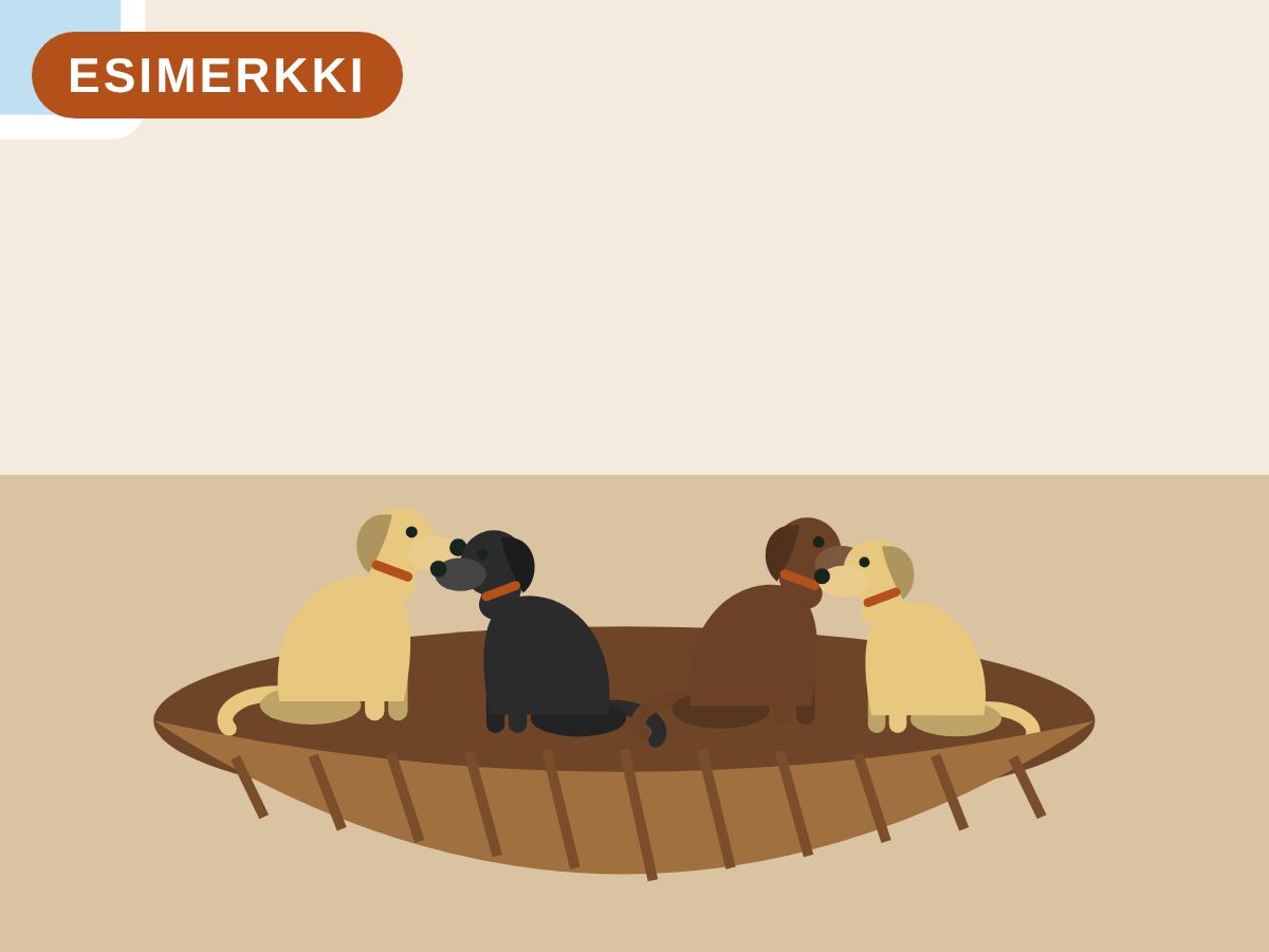 Labradorinnoutajan pennut myytävänä Tampere