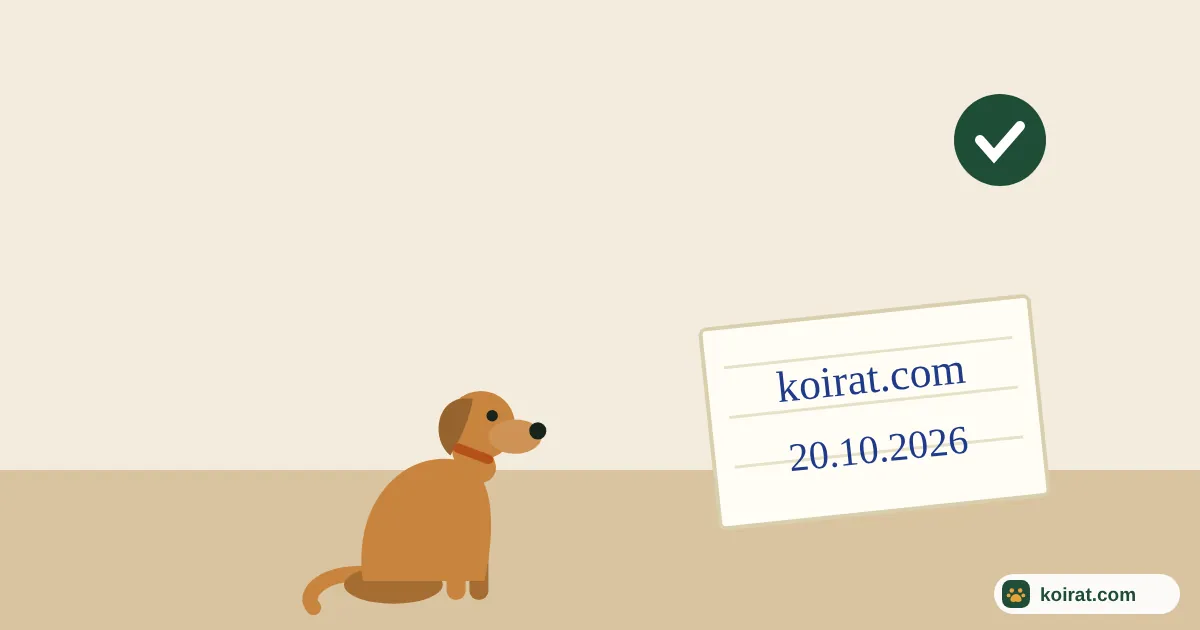 Esimerkki Koirat.com-lappukuvasta: koira ja paperilappu, jossa lukee koirat.com ja päivämäärä