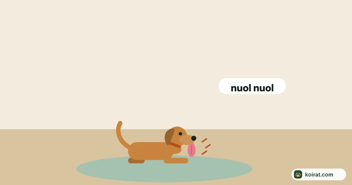 Miksi koira nuolee tassujaan – koira makaa matolla ja nuolee etutassuaan