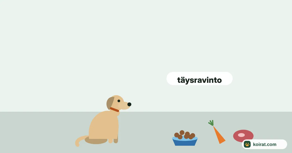 Mitä koira syö – koira, ruokakuppi täynnä nappuloita, porkkana ja liha