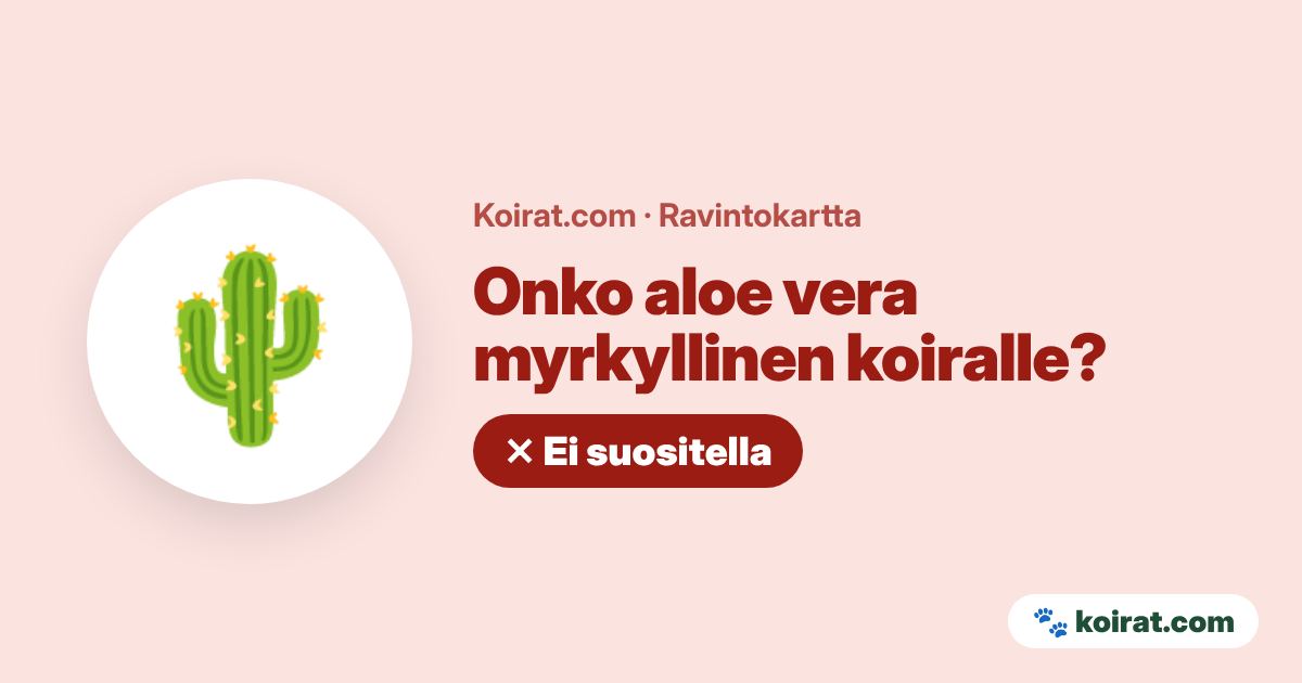 Onko aloe vera myrkyllinen koiralle? Lievästi myrkyllinen