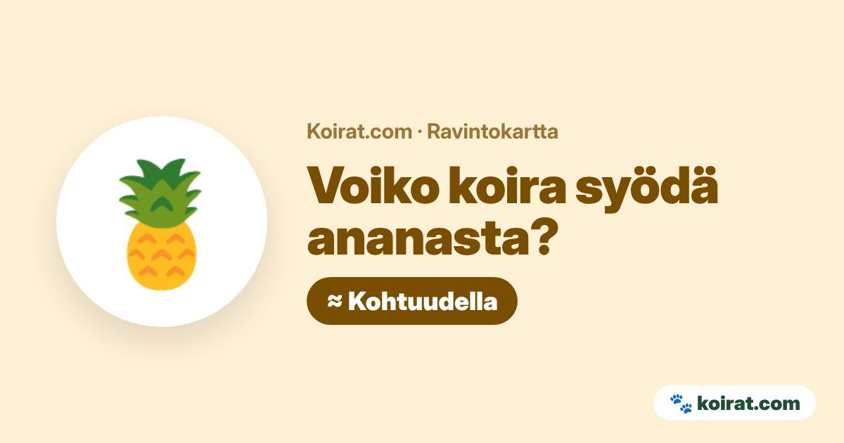 Voiko koira syödä ananasta? Kohtuudella