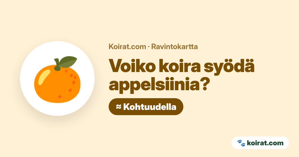 Voiko koira syödä appelsiinia? Kohtuudella