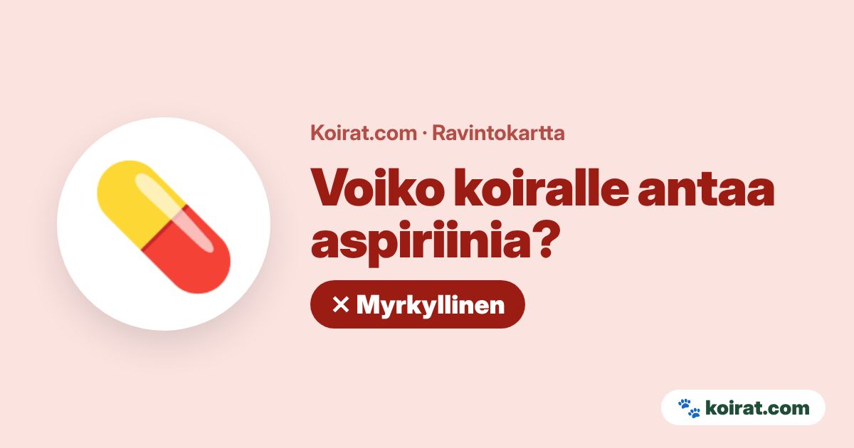 Voiko koiralle antaa aspiriinia? Ei, myrkyllistä
