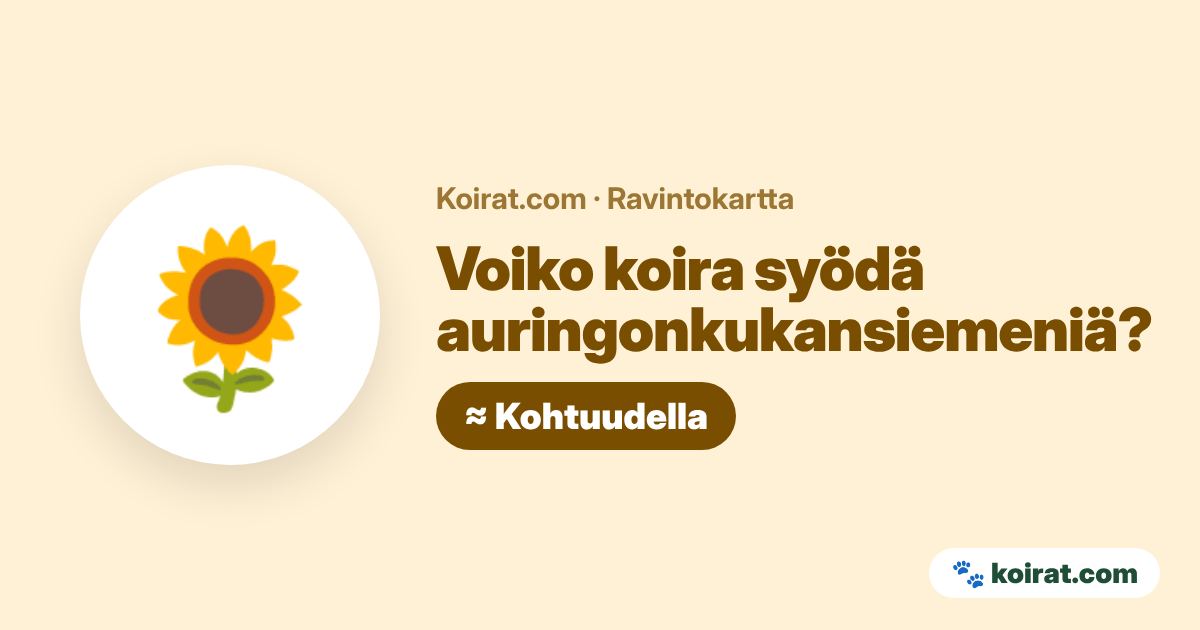 Voiko koira syödä auringonkukansiemeniä? Kohtuudella