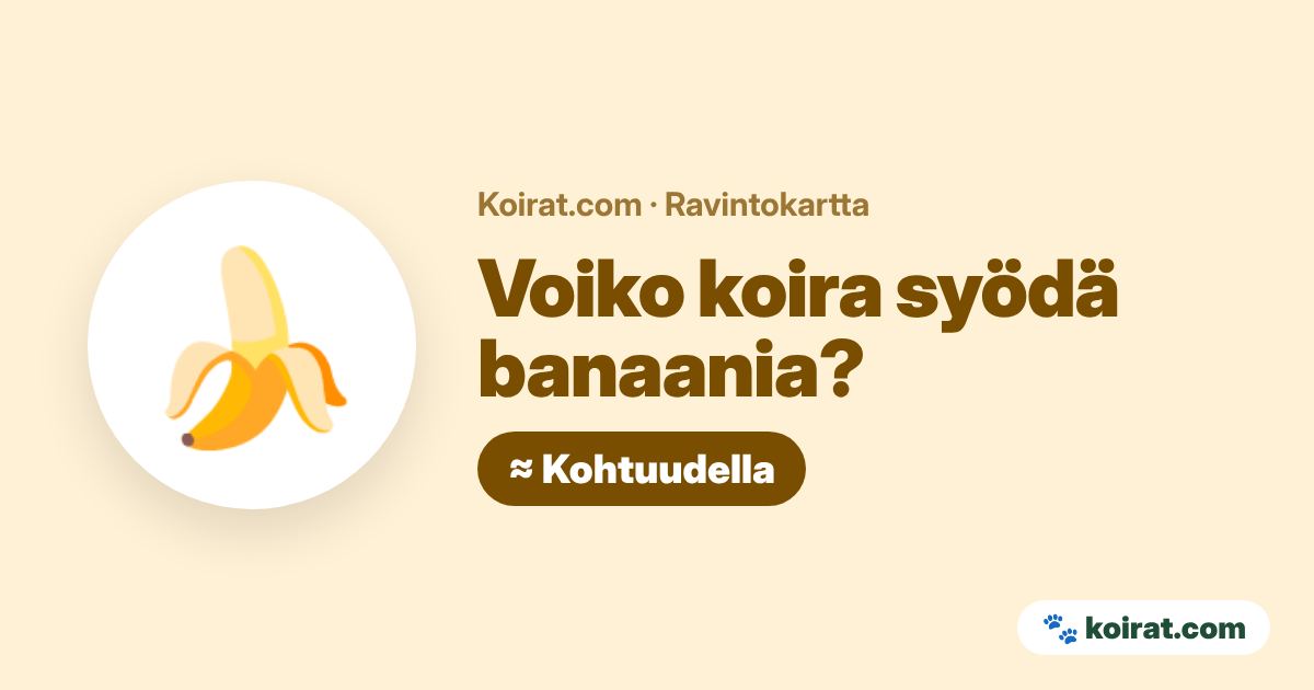 Voiko koira syödä banaania? Kohtuudella