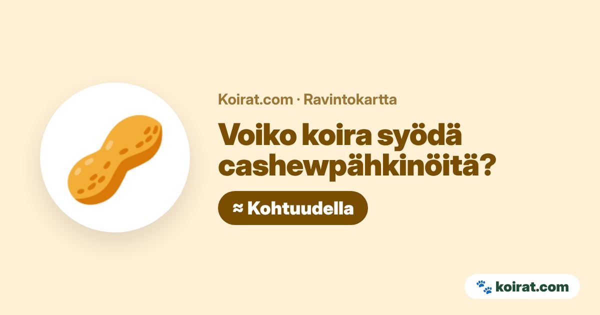 Voiko koira syödä cashewpähkinöitä? Kohtuudella