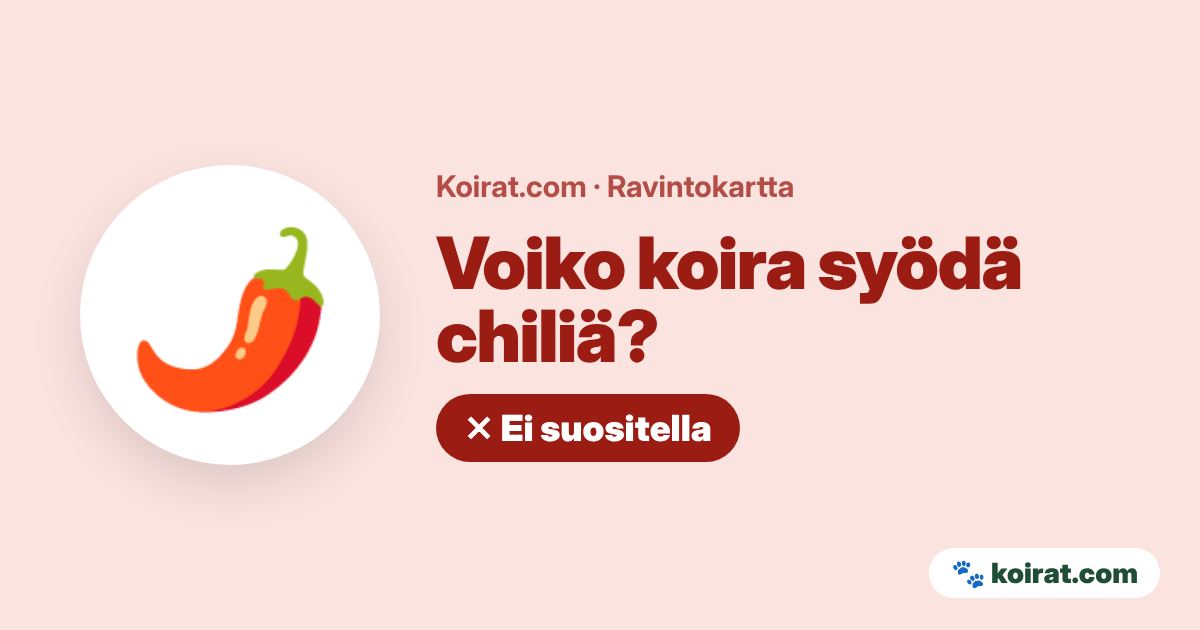 Voiko koira syödä chiliä? Ei