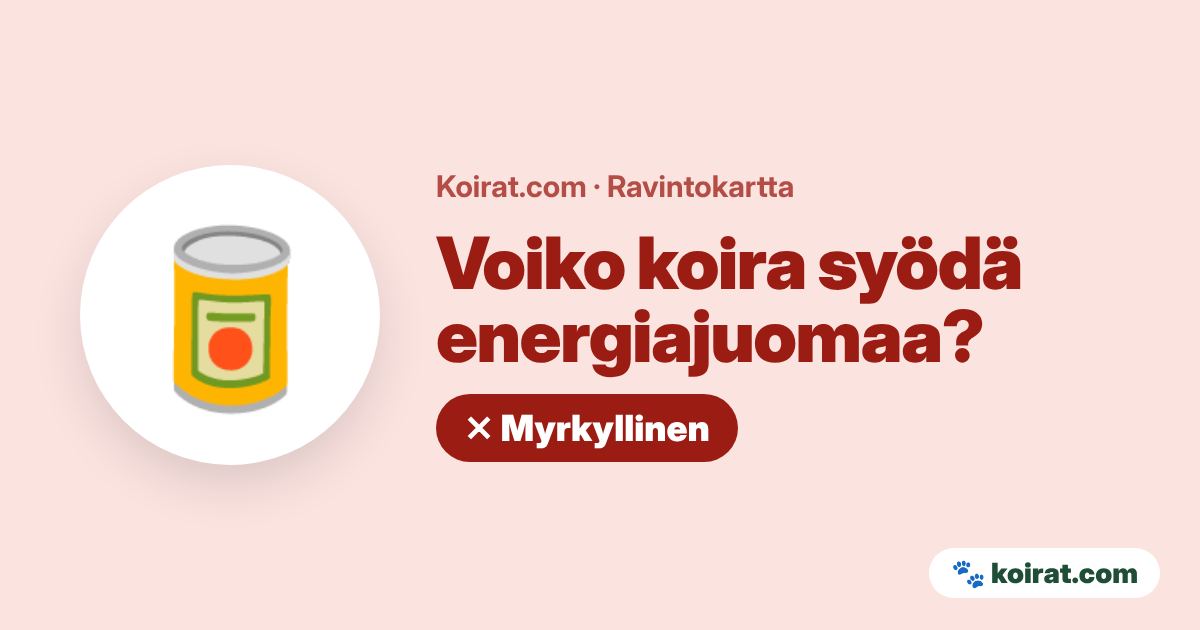 Voiko koira syödä energiajuomaa? Ei, myrkyllistä