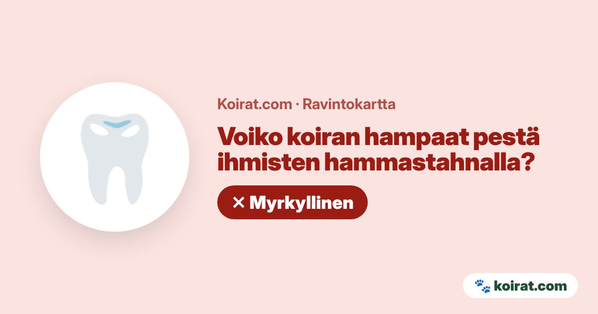 Voiko koiran hampaat pestä ihmisten hammastahnalla? Ei, myrkyllistä