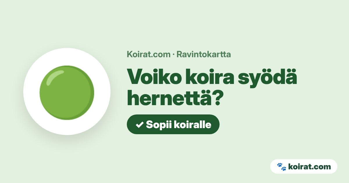Voiko koira syödä hernettä? Kyllä