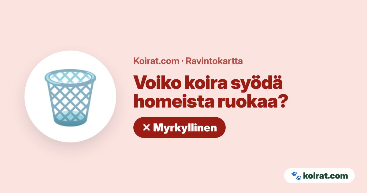 Voiko koira syödä homeista ruokaa? Ei, myrkyllistä