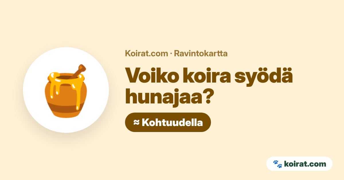 Voiko koira syödä hunajaa? Kohtuudella