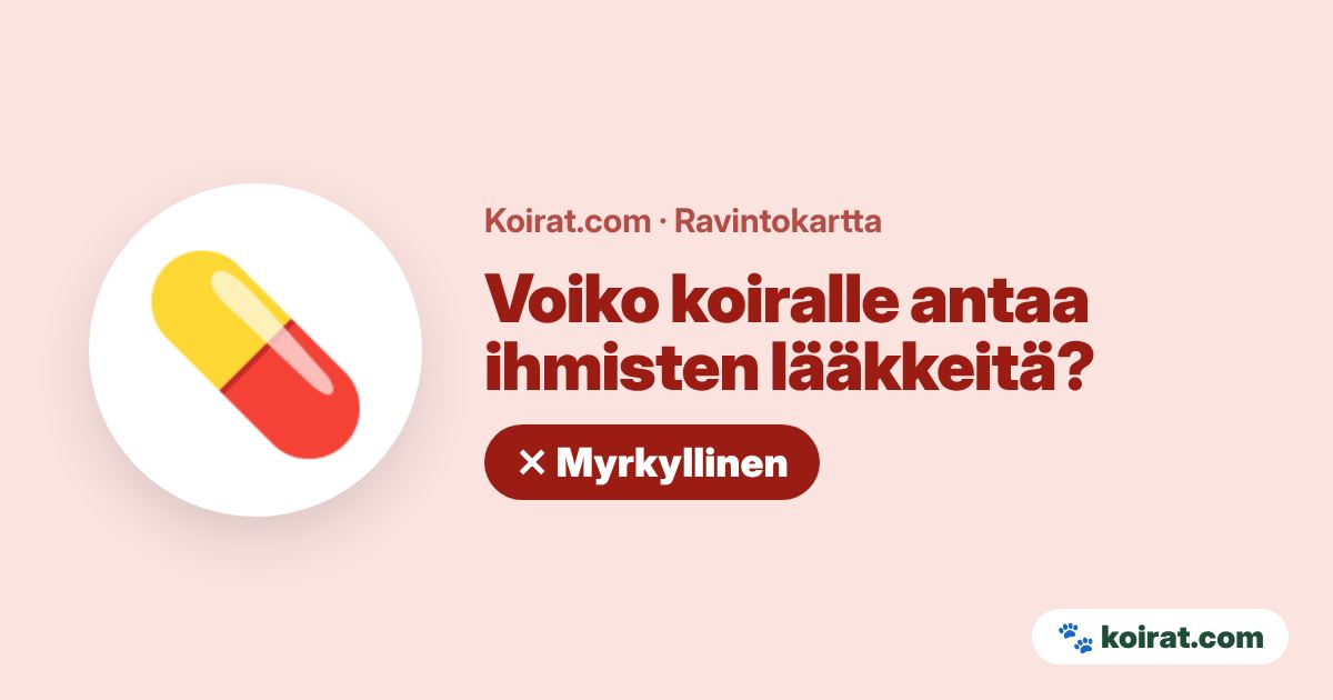 Voiko koiralle antaa ihmisten lääkkeitä? Ei, myrkyllistä