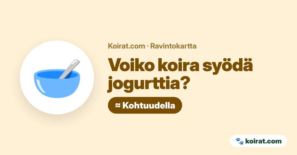 Voiko koira syödä jogurttia? Kohtuudella