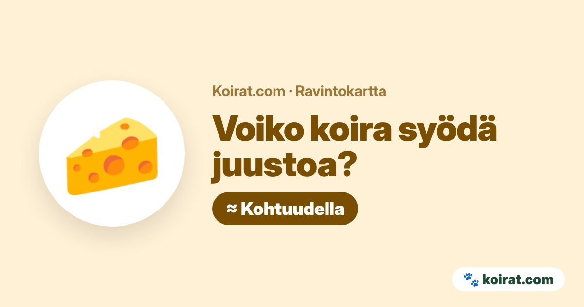 Voiko koira syödä juustoa? Kohtuudella