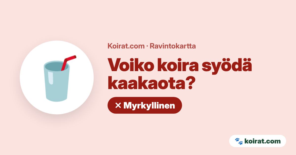 Voiko koira syödä kaakaota? Ei, myrkyllistä
