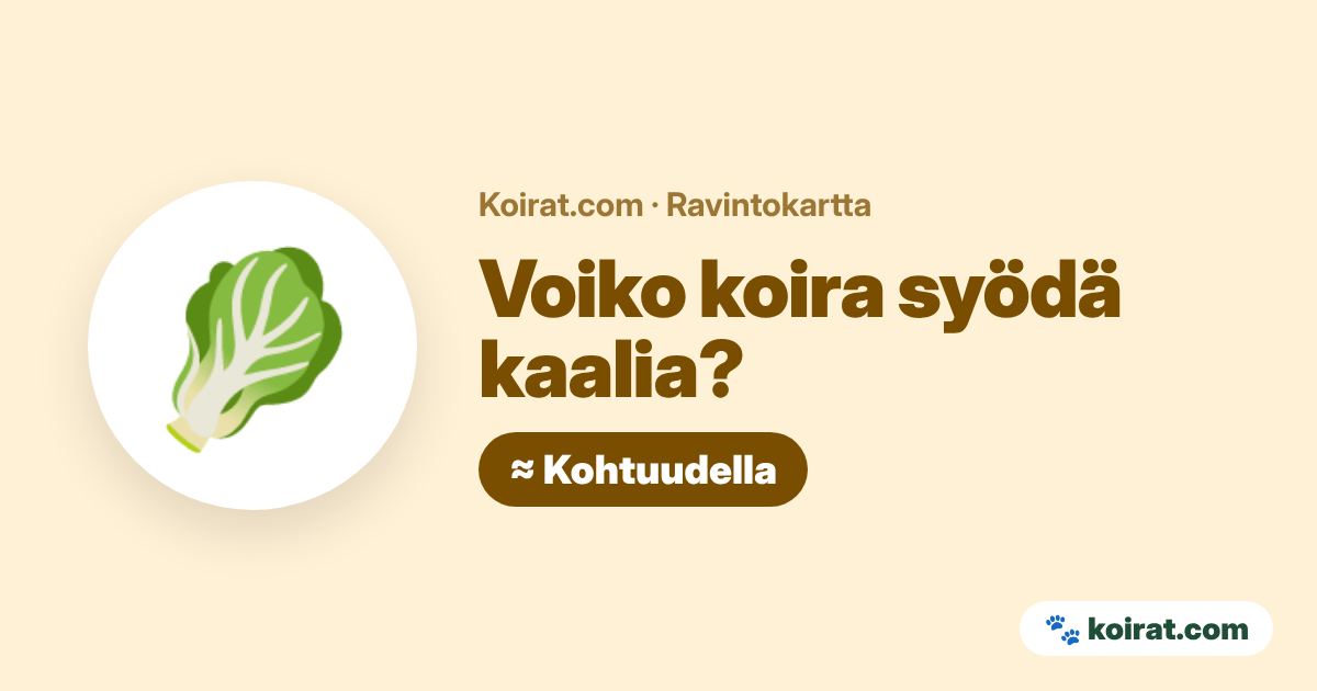 Voiko koira syödä kaalia? Kohtuudella
