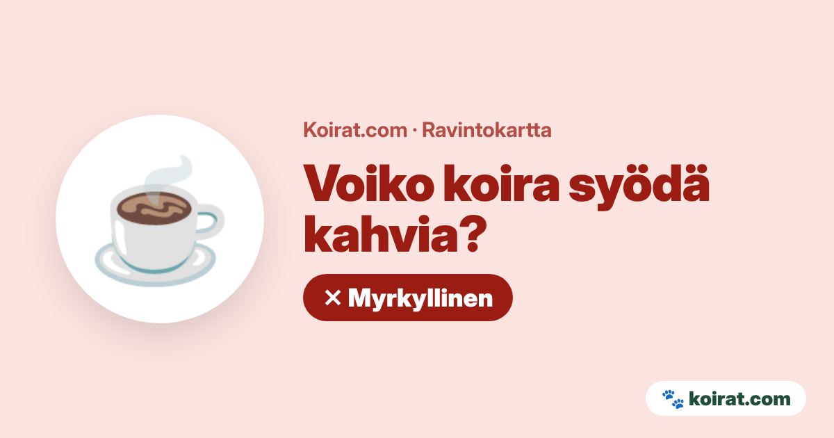 Voiko koira syödä kahvia? Ei, myrkyllistä