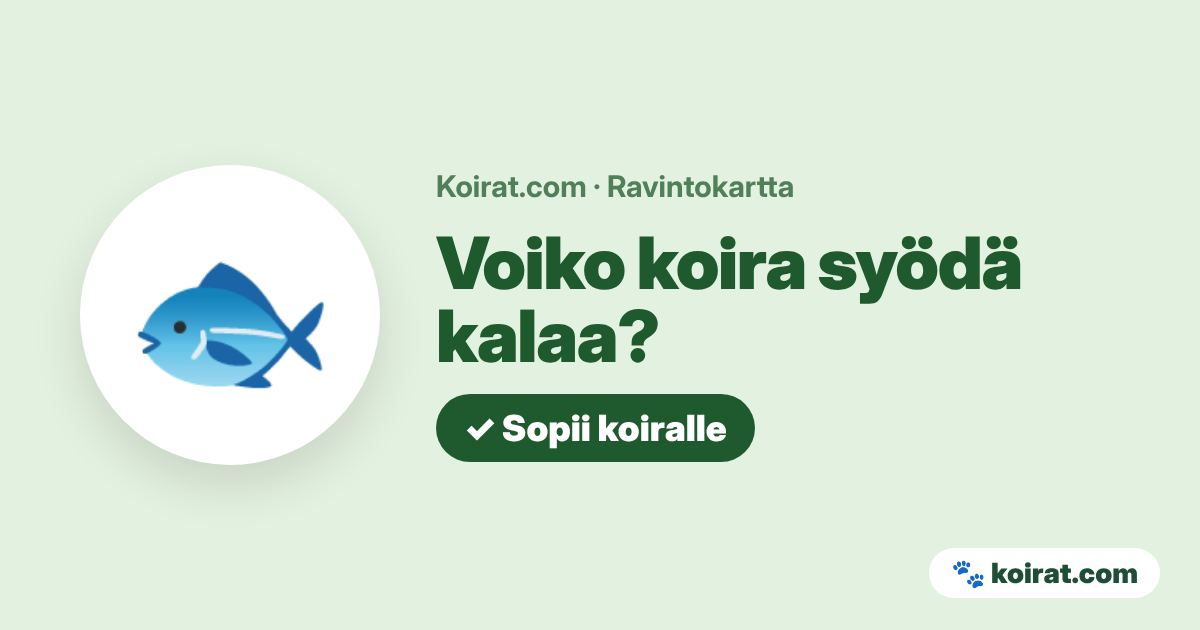 Voiko koira syödä kalaa? Kyllä