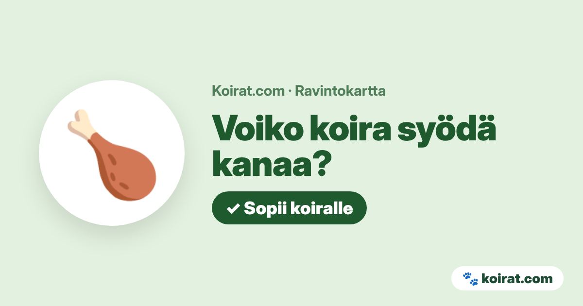 Voiko koira syödä kanaa? Kyllä
