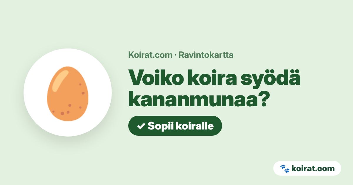 Voiko koira syödä kananmunaa? Kyllä