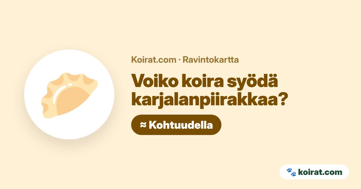 Voiko koira syödä karjalanpiirakkaa? Kohtuudella