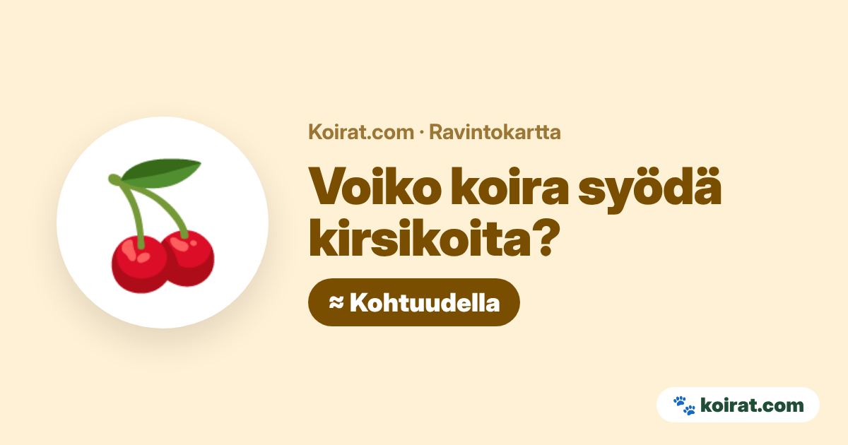 Voiko koira syödä kirsikoita? Kohtuudella