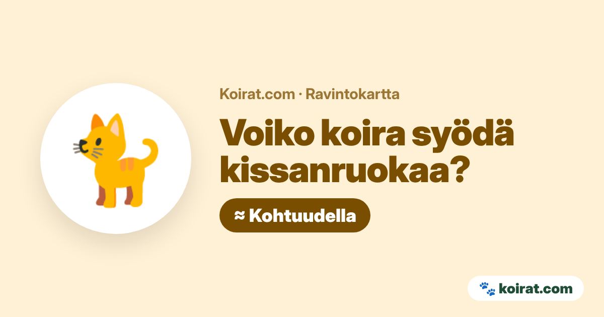 Voiko koira syödä kissanruokaa? Kohtuudella