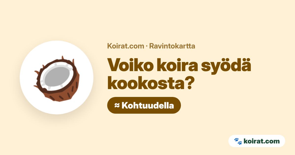 Voiko koira syödä kookosta? Kohtuudella