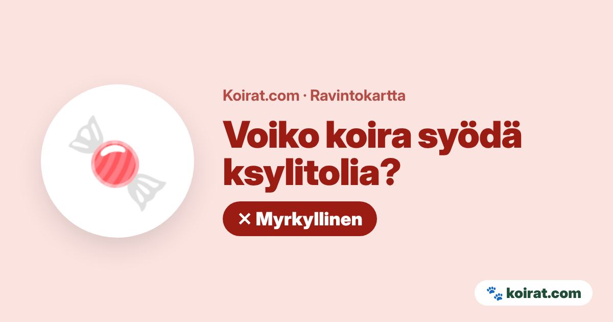 Voiko koira syödä ksylitolia? Ei, myrkyllistä