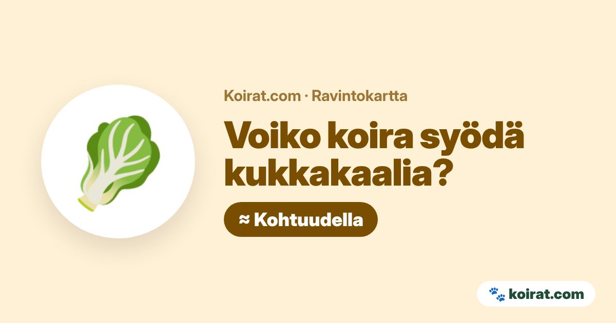 Voiko koira syödä kukkakaalia? Kohtuudella