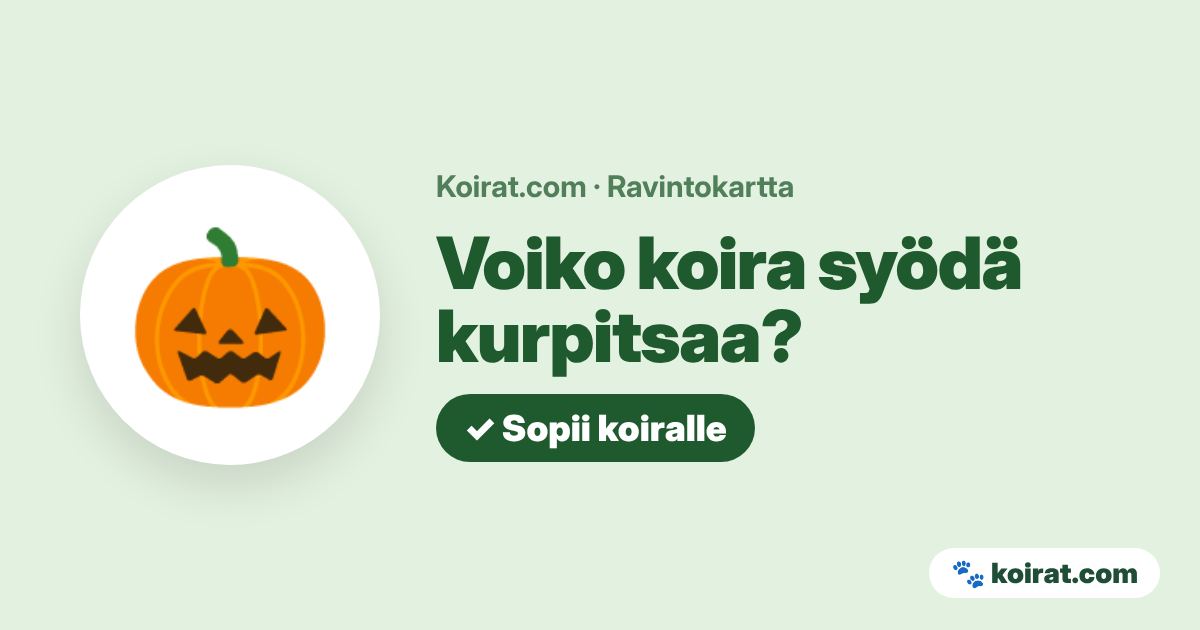 Voiko koira syödä kurpitsaa? Kyllä