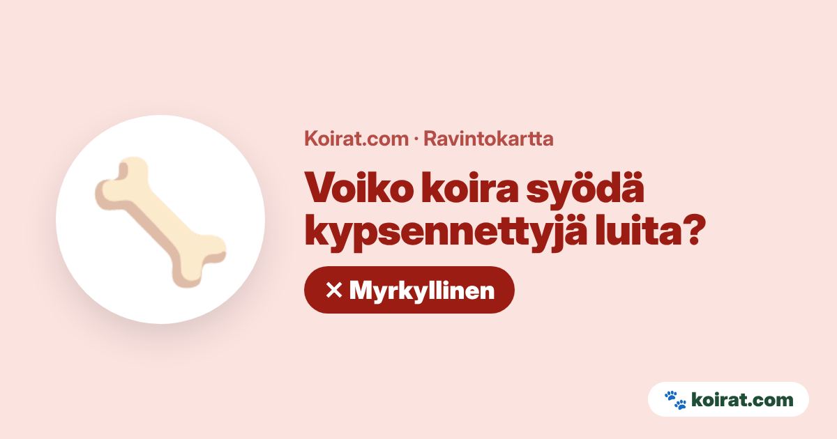 Voiko koira syödä kypsennettyjä luita? Ei, myrkyllistä