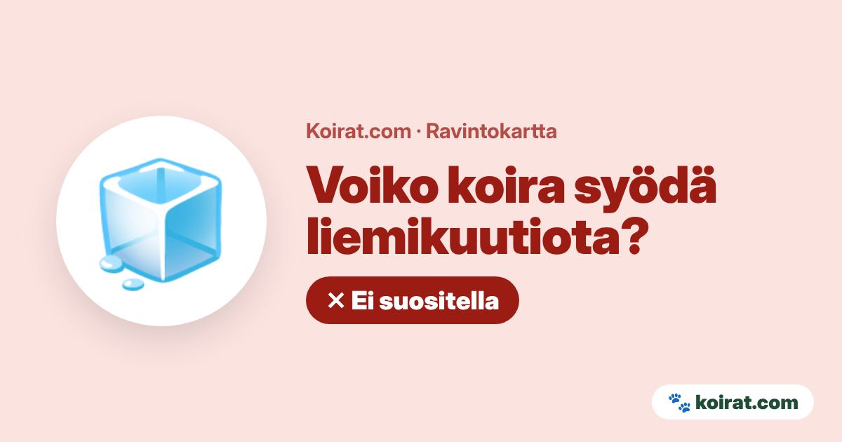 Voiko koira syödä liemikuutiota? Ei