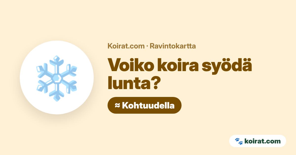 Voiko koira syödä lunta? Kohtuudella