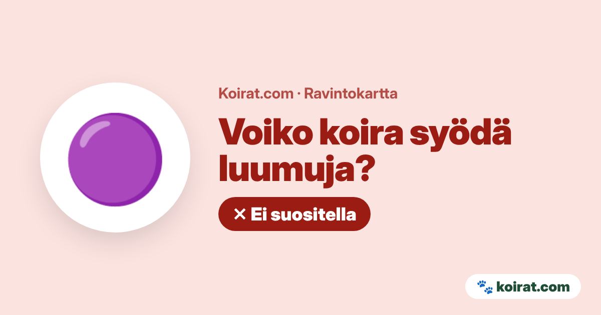 Voiko koira syödä luumuja? Ei