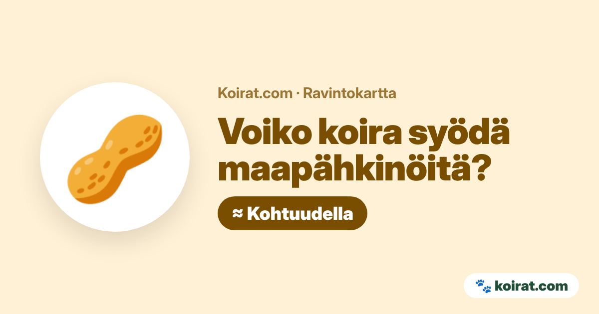 Voiko koira syödä maapähkinöitä? Kohtuudella