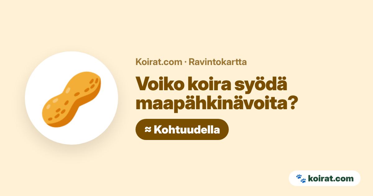Voiko koira syödä maapähkinävoita? Kohtuudella