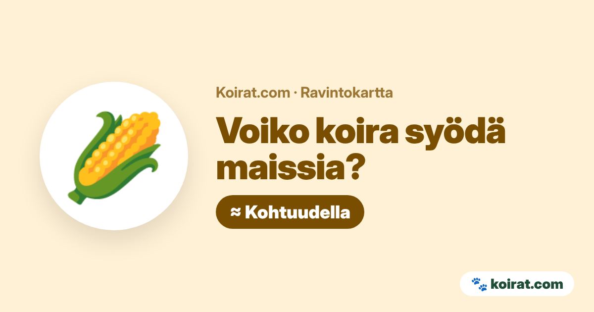 Voiko koira syödä maissia? Kohtuudella