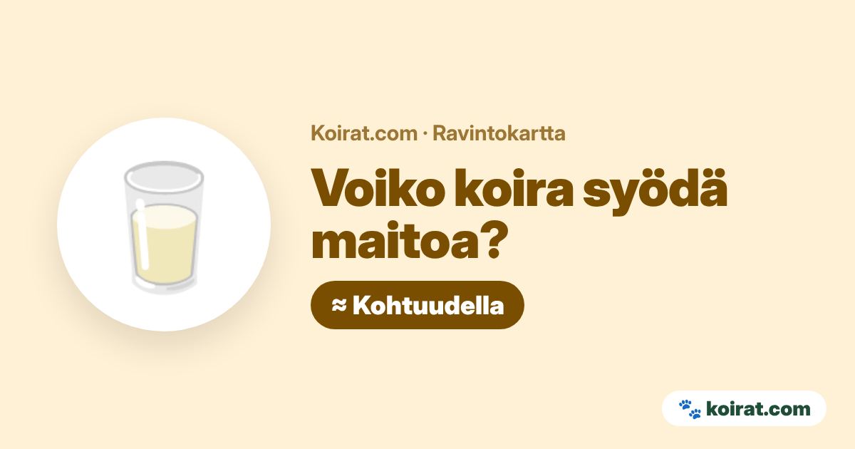 Voiko koira syödä maitoa? Kohtuudella